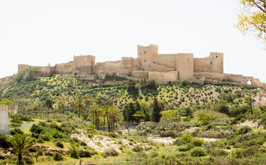 Fototapeta na wymiar Arab fortress with wall and towers on top of a hill surrounded by lush vegetation and palm trees, Alcazaba de Almeria, Andalucia, Spain