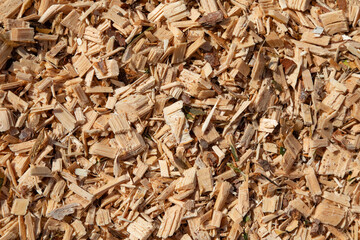 Sawdust or wood dust texture background. Oblong sawdust after woodworking. Wood background