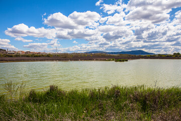 Flamingos in lagoon Fuente de Piedra. Picture taken 20.03.2021.