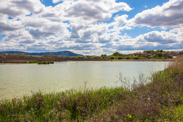 Flamingos in lagoon Fuente de Piedra. Picture taken 20.03.2021.