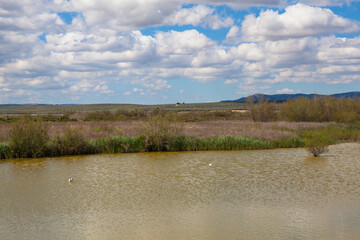 Panoramic view of the lagoon “Fuente De Piedra”. Picture taken 20.03.2021.