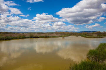 Panoramic view of the lagoon “Fuente De Piedra”. Picture taken 20.03.2021.