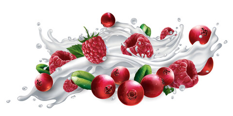 Cranberries and raspberries in a milk or yogurt splash.