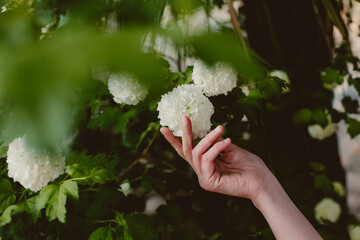 hand picking flower feel nature