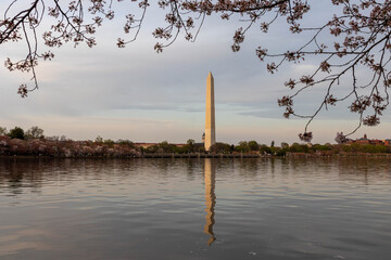 Sunset View of the Washington Monument Along the Water of the Tidal Basin
