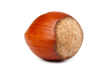 hazelnuts are isolated on a white background close-up macro. Healthy food. Having a snack