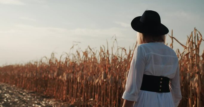 Rear view: A female farmer in a dress and hat walks along the fields of ripe corn.