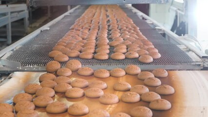 Accelerated video of conveyor belt with cookies at confectionery factory.