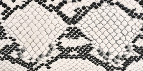 ceramic tile snake imitation skin. Skin texture background