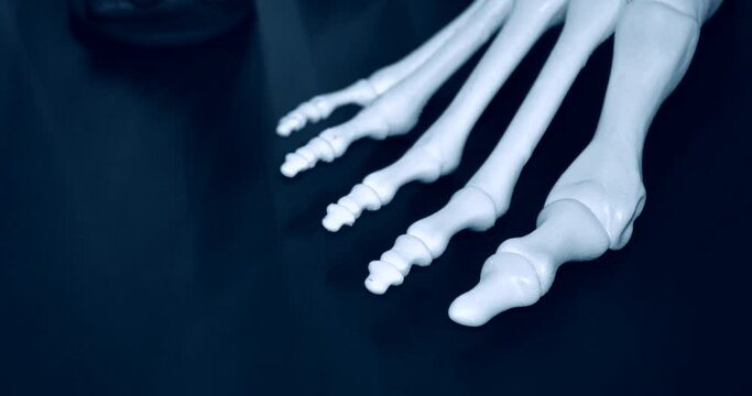 White prototype of the human foot skeleton printed on 3d printer