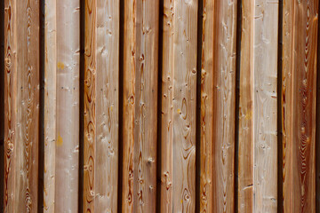 wood tree timber background texture structure backdrop