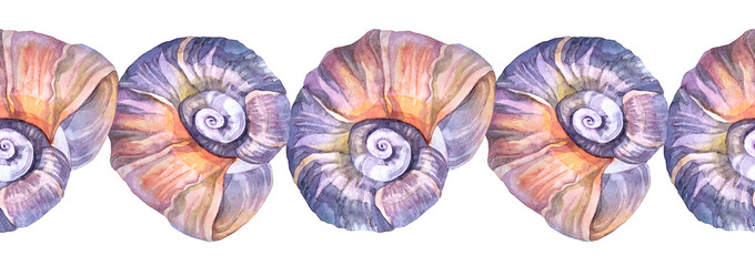 Seamless border watercolor pink brown sea shell isolated on white background. Creative hand-drawn nature realistic object for celebration, stationery, card, wallpaper, textile, wrapping, florist