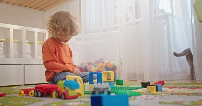 Little curly blond boy playing with a colored constructor in a children's room on the ground with a cat