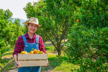 Happy Asian woman farmer carry wooden box with ripe organic orange. Female farm owner working and harvesting orange fruit in the garden with happiness. Agriculture product industry business concept