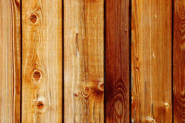 wood tree timber background texture structure backdrop