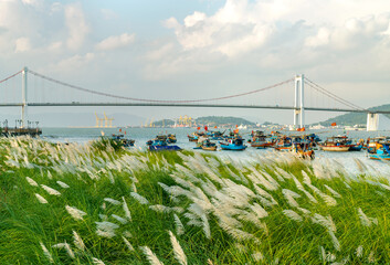 Thuan Phuoc Bridge 