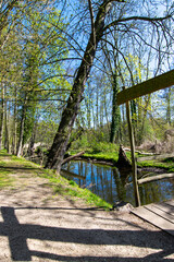 Fototapeta na wymiar river in the woods (Buckow, Märkisch-Oderland, Brandenburg, Germany)