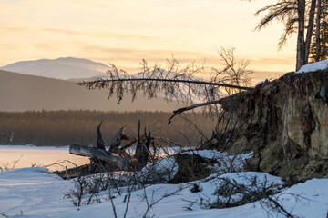 Spring time in northern Canada on a frozen lake with mountain snowy peaks in background and focus on the lakeshore with fallen over, dead spruce trees in focus. 