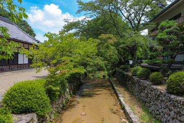 夏のお寺の参道横を流れる小川
