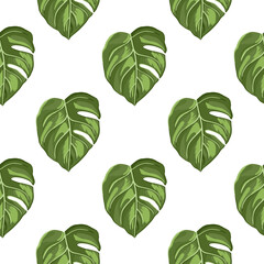 Tropical seamless pattern on white background. Abstract texture decoration with leaf monstera green color.