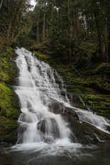 Portrait orientated beautiful flowing waterfall in lush Pacific Northwest forest