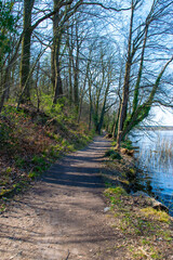 Fototapeta premium path in the forest at Buckow (Märkisch-Oderland, Brandenburg, Germany)