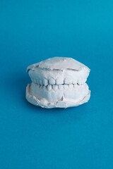 Study model dental impression teeth on blue background © ZaizStudio