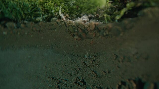 Water soaking in the sand layer underground Static close-up shot