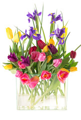 Many beautiful colorful tulips with leaves in a glass vase isolated on transparent background. Photo with fresh spring flowers for any festive design