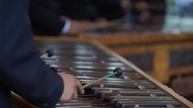 Musicians playing marimba. Close up of marimba players.