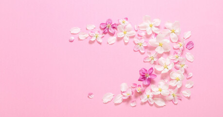 Obraz premium pink apple flowers on pink background