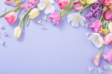 multicolored spring flowers on  purple background