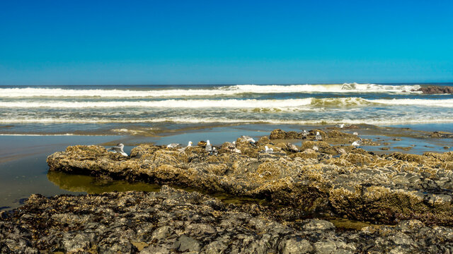 Yachats Beach in Pacific Coast Oregon