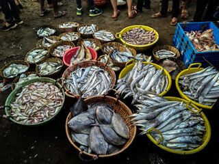 Fishes from fish market