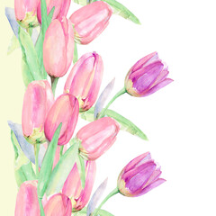 Bouquet of tulips.Pattern Seamless. Image on a white and colored background.