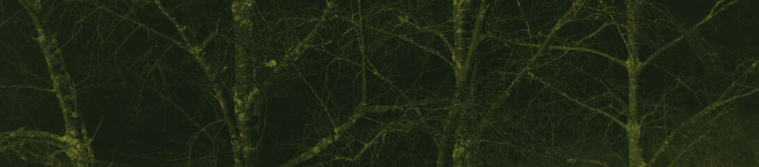 abstract black and dark green colors background for design