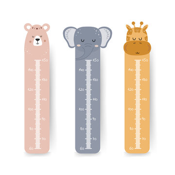 Kids height chart. Cute wall meter with boho animals. Vector template. Cartoon zoo. Design of children products in scandinavian style.