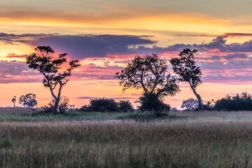Naklejka na ściany i meble Sunrise over the Okavango delta in Botswana Africa