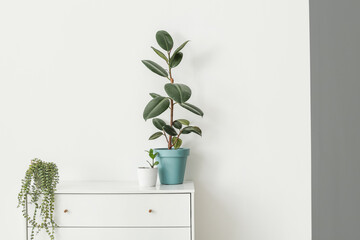Modern chest of drawers with houseplants near light wall in room, closeup