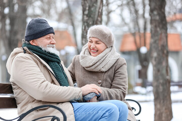 Happy mature couple sitting in park on winter day