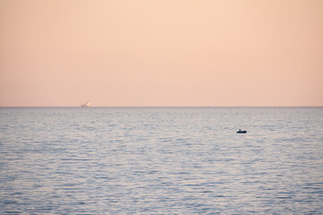 Obraz premium Beautiful pink sunset over the sea. Sochi, Russia