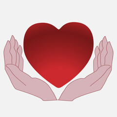 Two hands hold or give a red heart.  Heart in hand.  Give love.  Vector illustration.