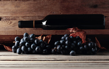 Bottle of red wine and a bunch of grapes on an old wooden table in the wine cellar.