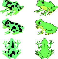 大きな目がかわいいアマガエルとヤドクガエル。それぞれ3ポーズずつ、計6体です。
