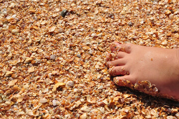 Small foot of a child on a shell beach.