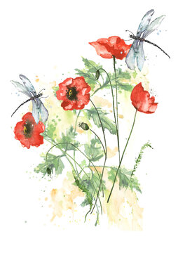 Watercolor Frame of Red poppy, branch. drawing plant. Card with Red poppy flowers. Garden flowers. wreath of wildflowers. Thickets of grass. For logo, card.Banner. A dragonfly flies over a bouquet. 