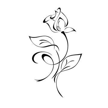 ornament 1696. one stylized rosebud on a stem with leaves and curls black lines on a white background