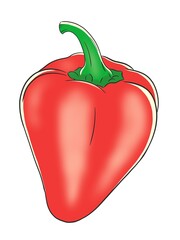 red sweet pepper colored drawing isolated illustration