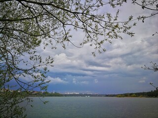 branches of trees with young foliage against the background of a gloomy sky with rainy clouds, city buildings are on the horizon, the calm surface of the reservoir, mobile photo