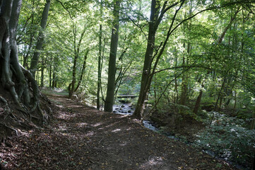 Rund um den Schweriner See / Bad Kleinen